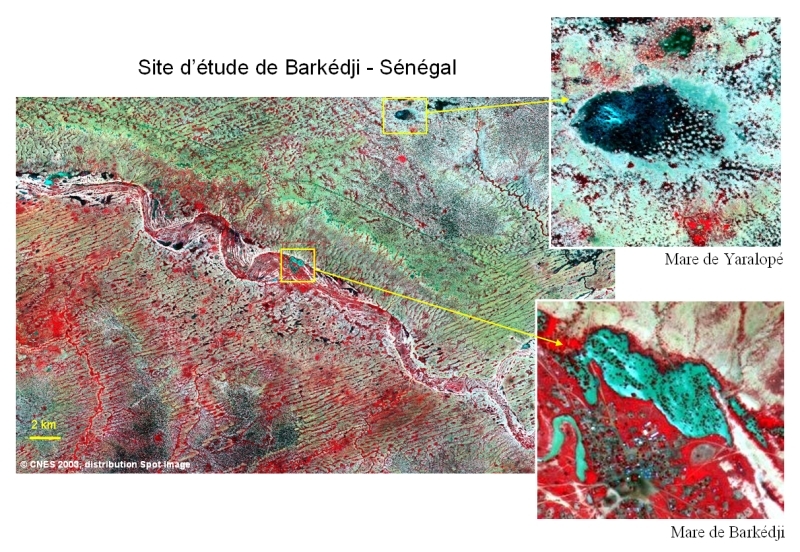 Satellite images of Barkedji, Senegal, acquired by the SPOT 5 satellite at a resolution of 10 metres on 26 August 2003. Credits: CNES/Spot Image.